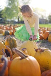 The Unveiling of Specialty Pumpkins: More Than Just Your Average Gourd