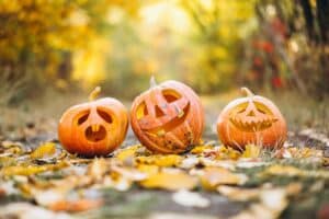 A Pumpkin Patch Adventure: A Community Gathering